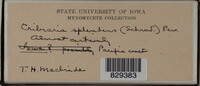 Image Associated With the Occurence